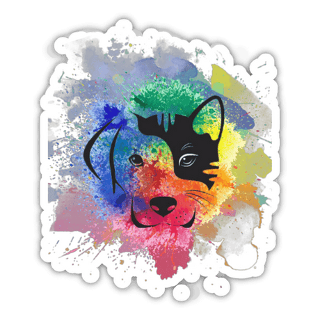 Cat dog