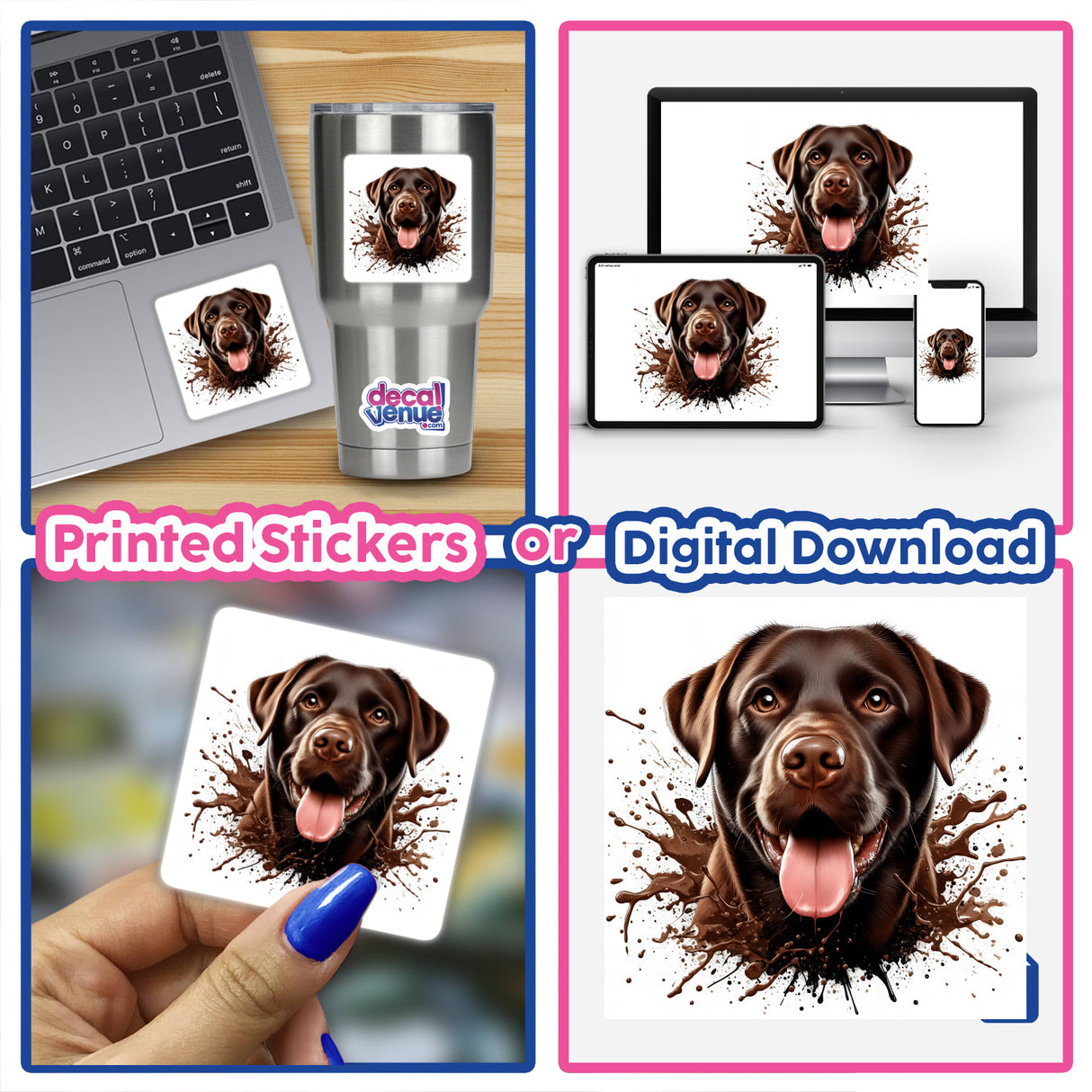 Chocolate Splash Lab Dog