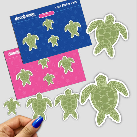 Green Sea Turtle Design