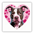 Tan Pitbull Face in Heart