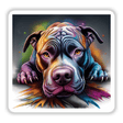 Looking Cute Colorful Pitbull