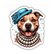 Church Going Pitbull