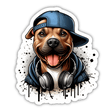Hip Hop Splash Pitbull