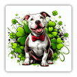 Red Bowtie Pitbull and Clovers