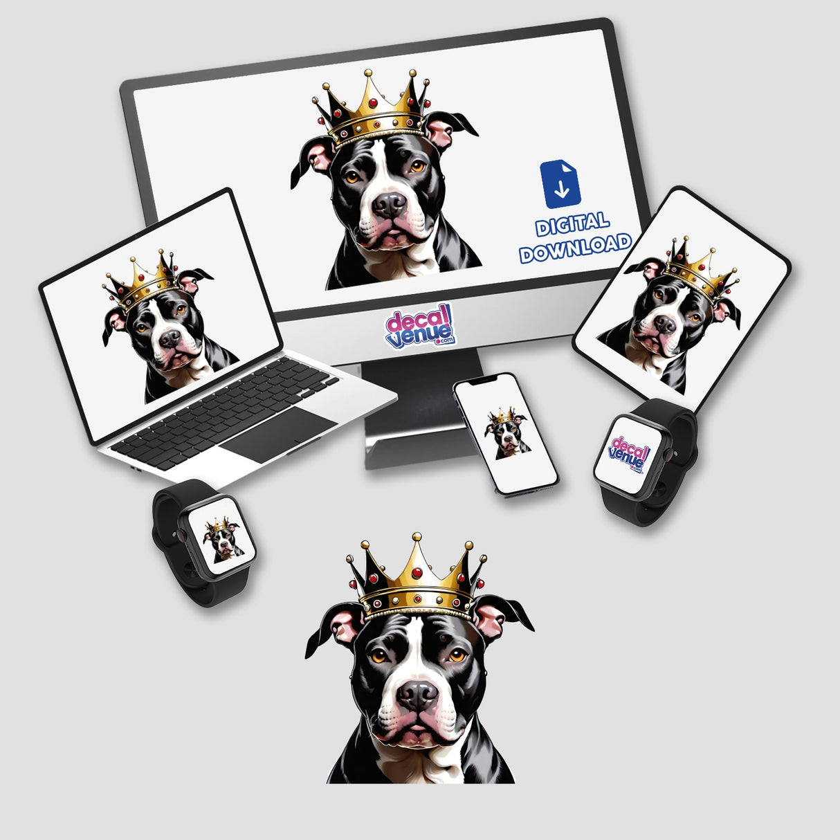 Pitbull King