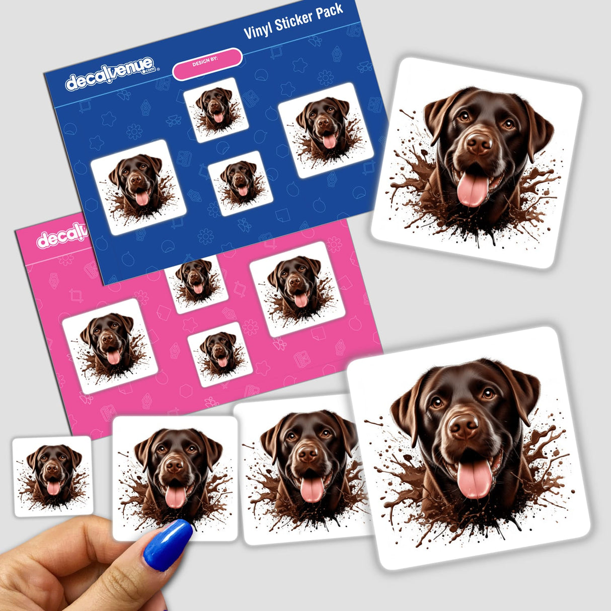 Chocolate Splash Lab Dog