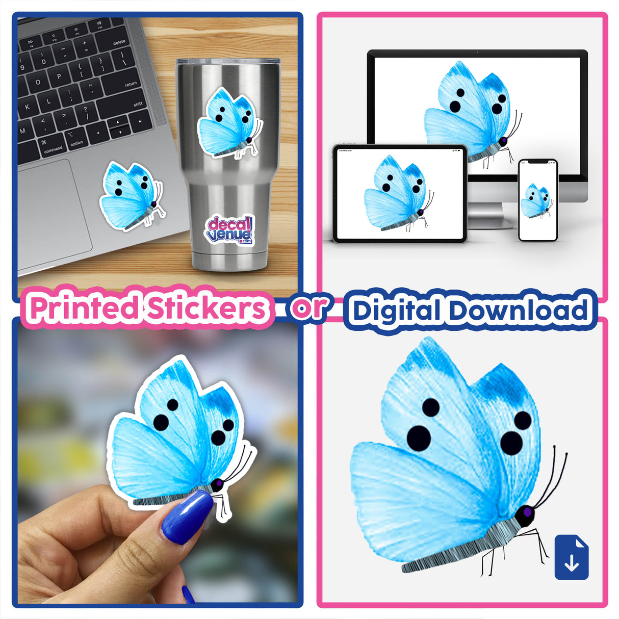 Light Blue Butterfly With Pale Blue Stripes