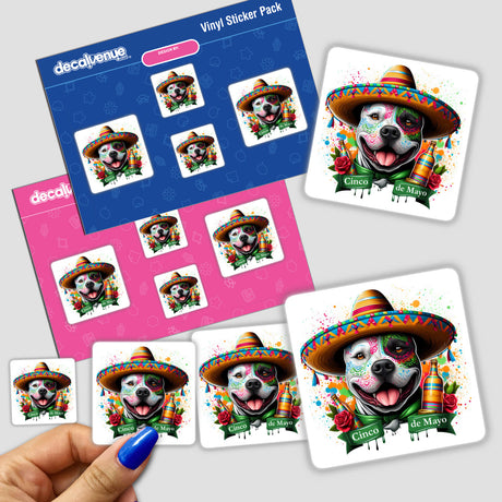 Cinco de Mayo Pitbull Dog