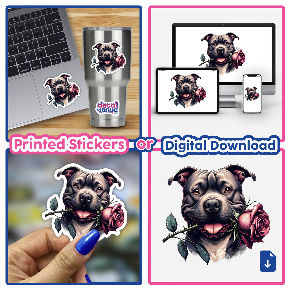 Pitbull with Rose in Mouth