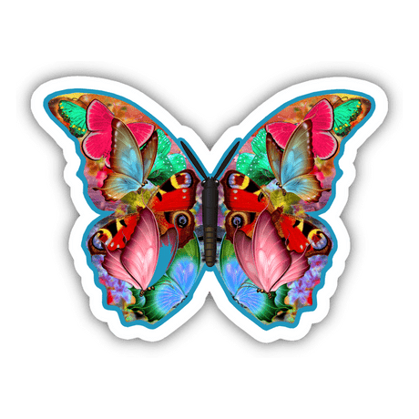 Butterfly 5