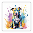 Paint Splattered Pitbull