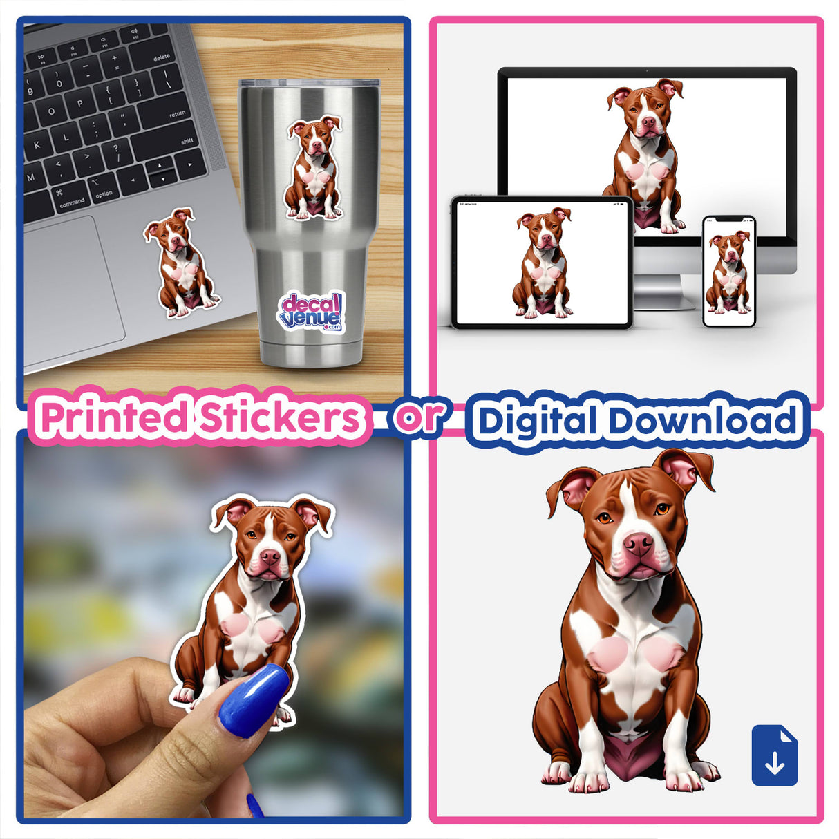 Cute Sitting Red Nose Pitbull