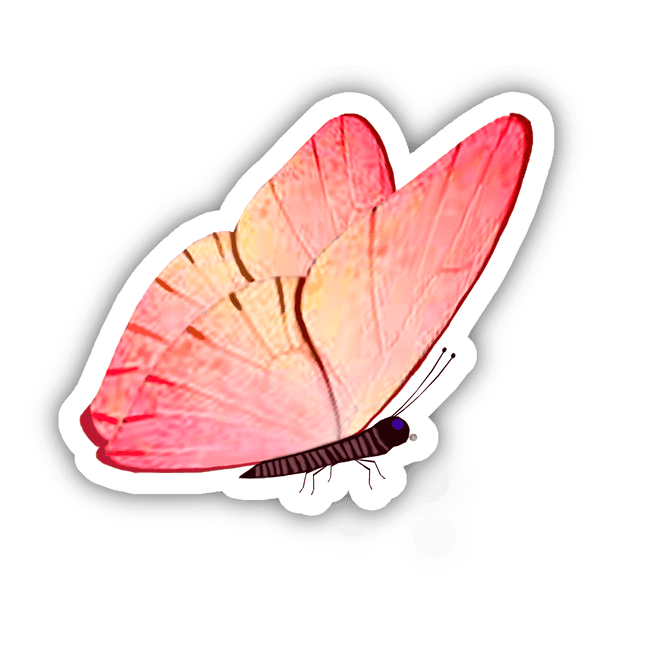 PINK, YELLOW AND BROWN BUTTERFLY WITH MAROON STRIPES