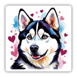 Hearts O' Husky