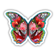 Colorful Butterfly 7