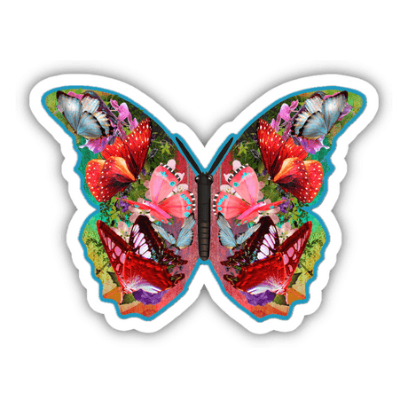 Colorful Butterfly 7