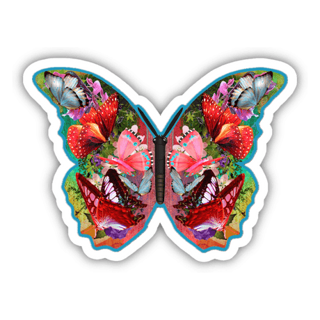 Colorful Butterfly 7