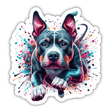Holographic Breakthrough Pitbull