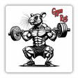 Muscular gym Rat
