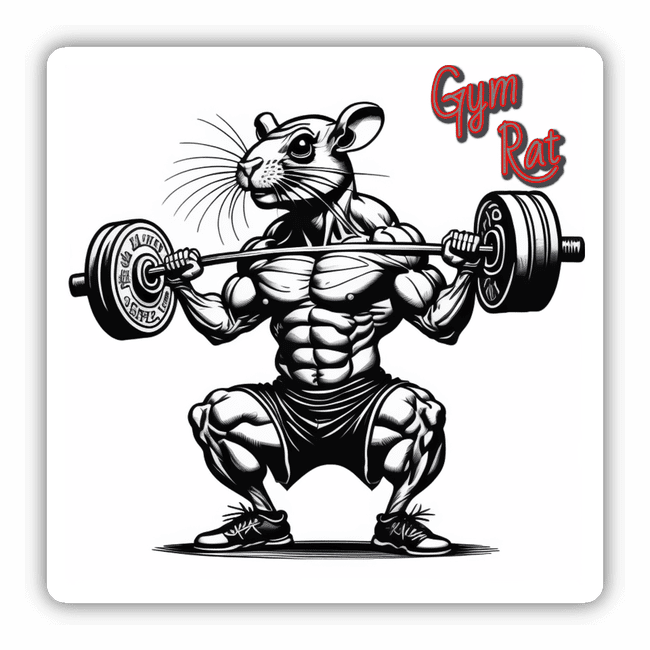 Muscular gym Rat