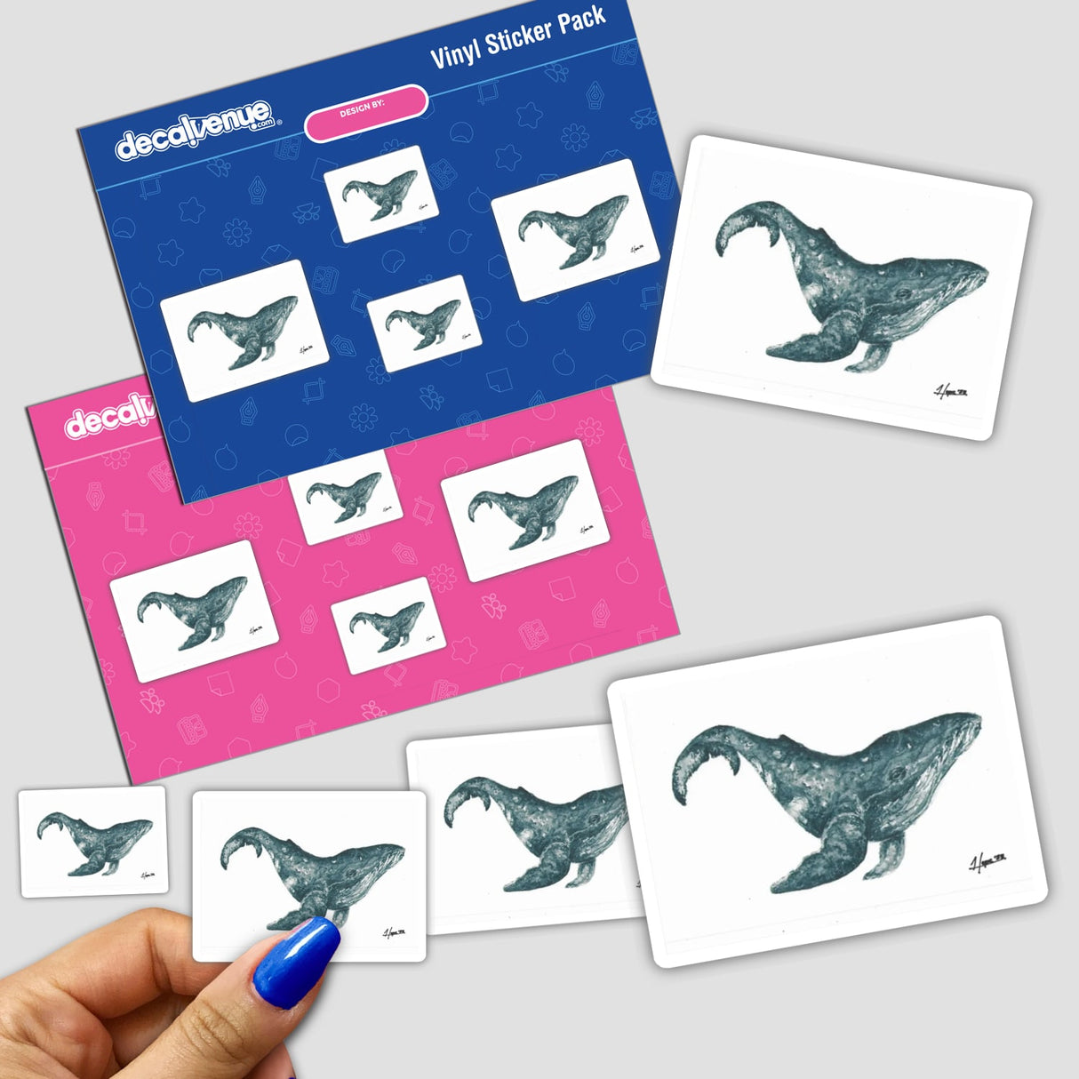 Humpback whale