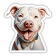 Happy White Pitbull