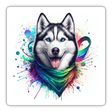 Iridescent Splatter Husky w/ Bandana