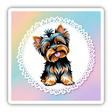 Happy Yorkie Head Tilt w/ Doily Background