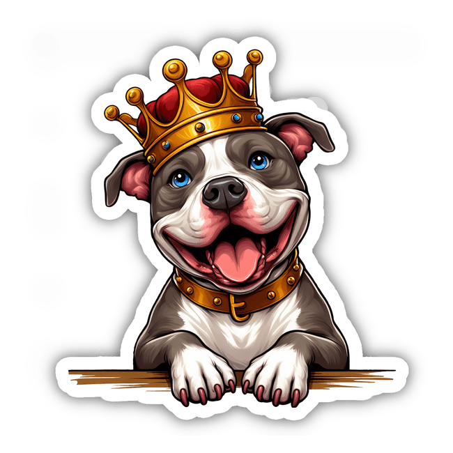 King Pitbull Puppy