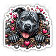 Pitbull Busting Through Hearts