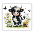 Highland Cow, Daisies and Butterflies