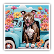 Tan Pitbull, Flowers and Truck