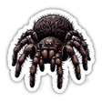 Realistic Tarantula Illustration