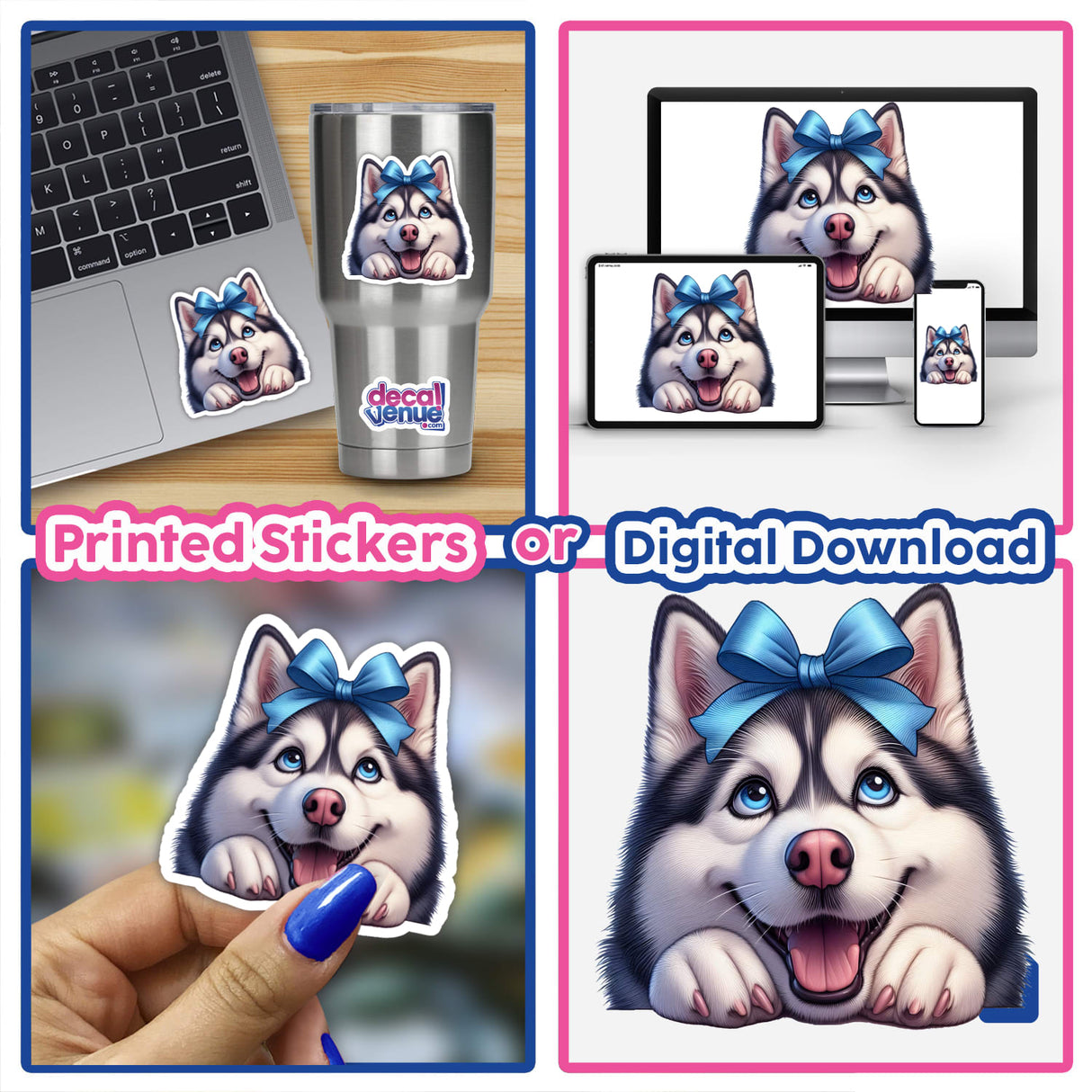 Excited Peeking Husky Blue Bow