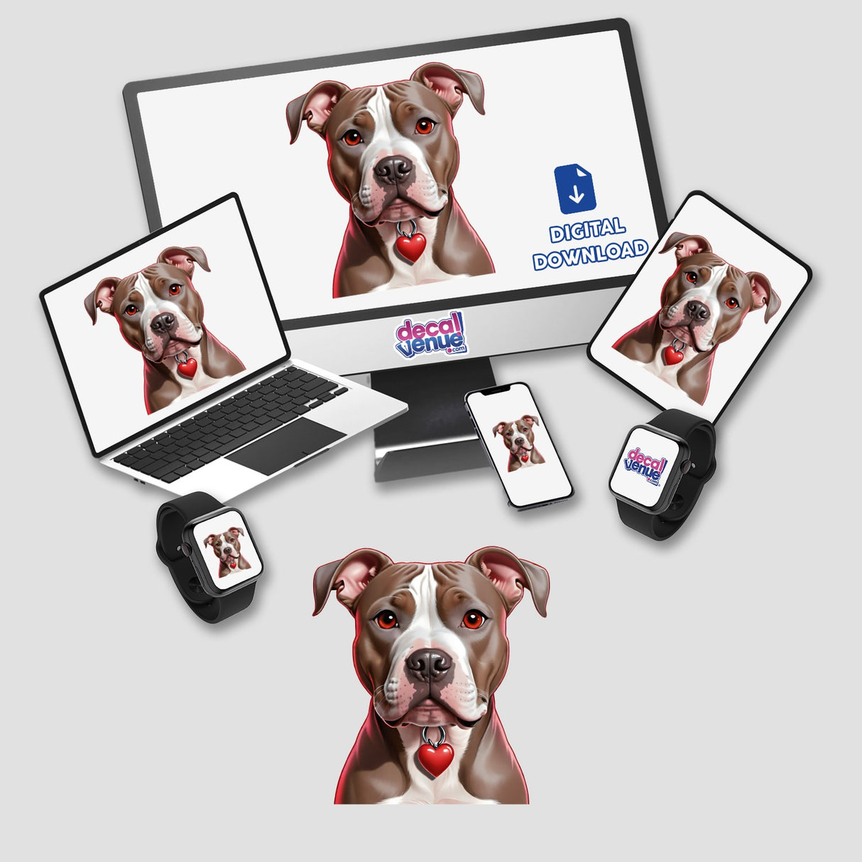 Pitbull with Heart Collar
