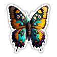 Pretty Butterfly