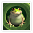 Froggie