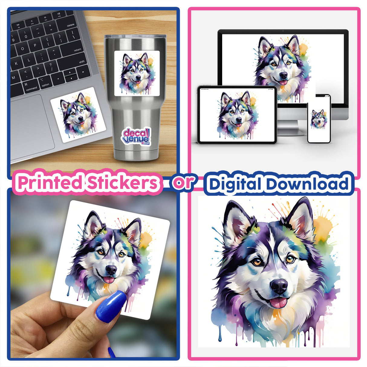 Colorful Husky Portrait