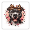 Pitbull with Leopard Print Bow