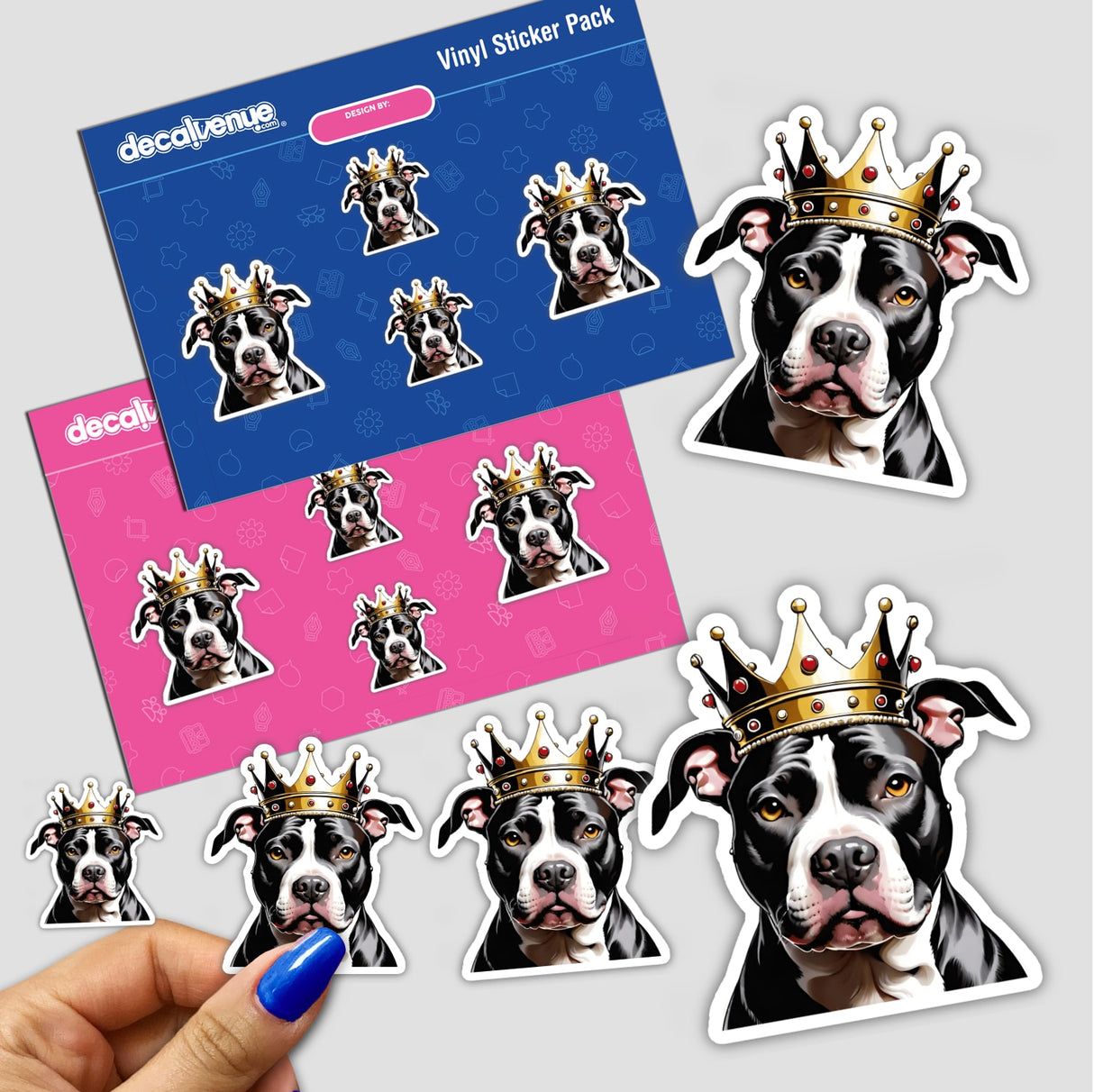 Pitbull King