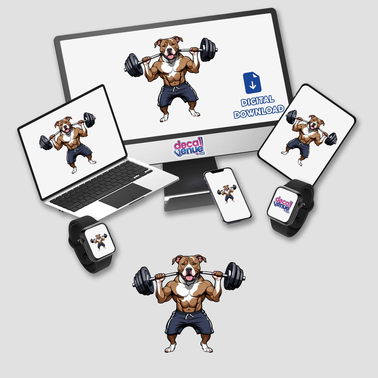 Pitbull Weightlifting