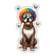 Hippie Monster Pitbull
