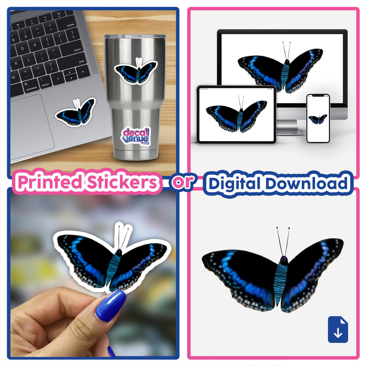 BLACK, BLUE AND WHITE BUTTERFLY WITH CYAN STRIPES