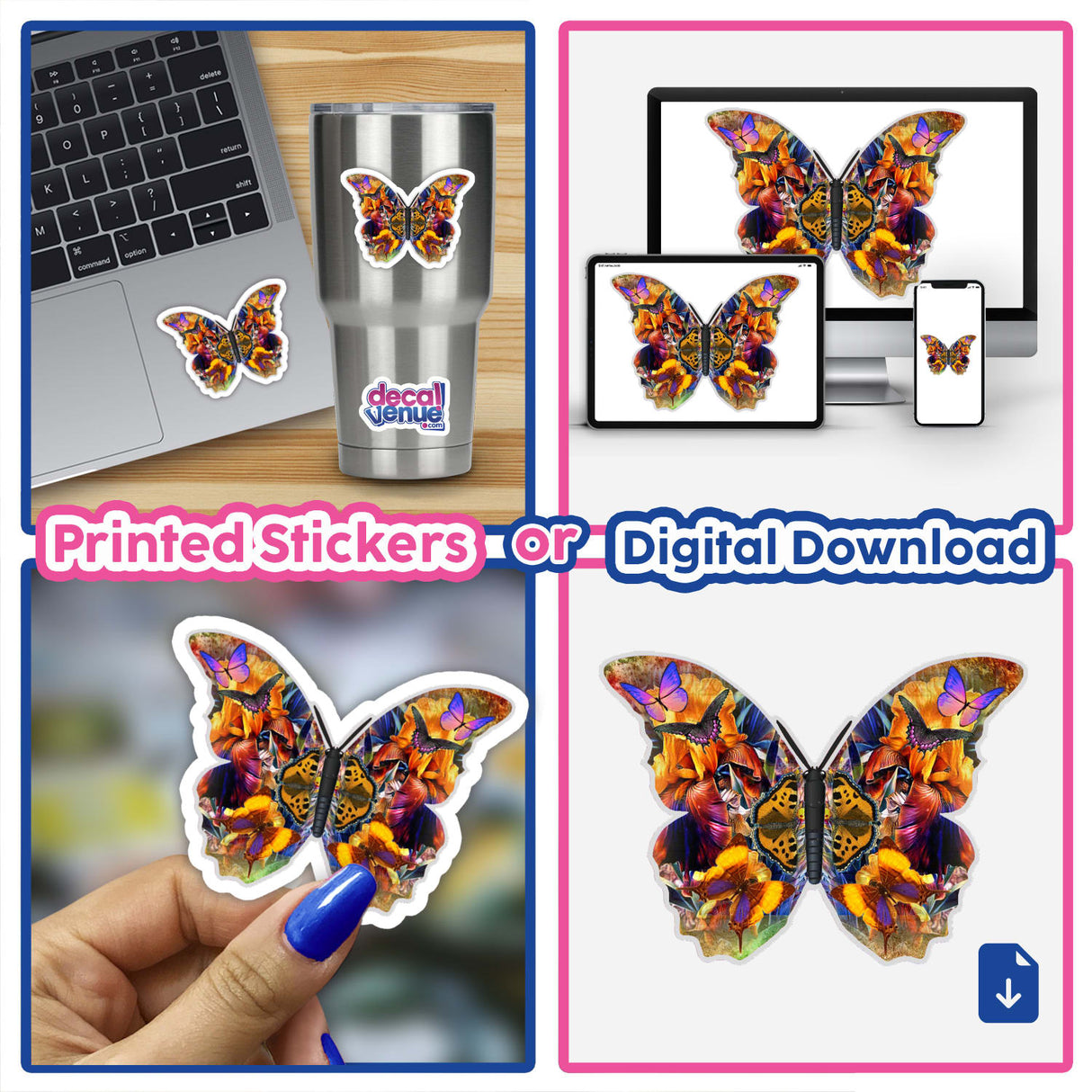 Colorful Butterfly