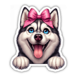 Peeking Husky Dark Pink Bow