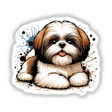 Shih Tzu Dog Splash