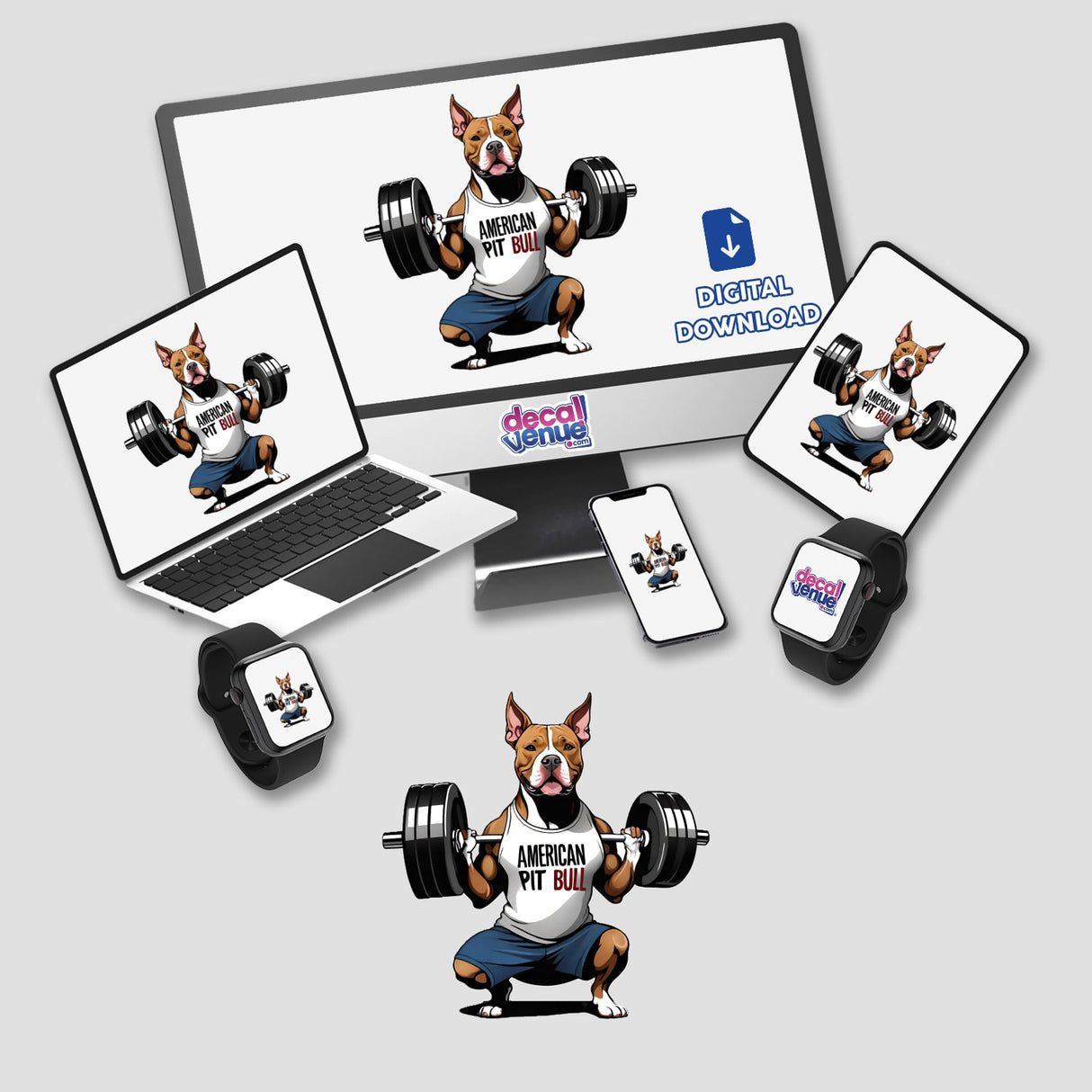 Cropped Ear Pitbull Lifting Weights