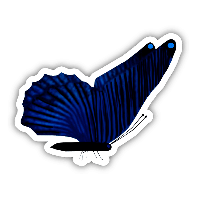 Blue Butterfly with Blue Stripes and Cyan Spots