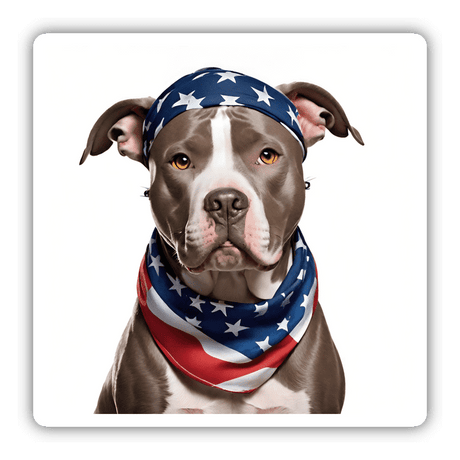 American Flag Bandana Pitbull