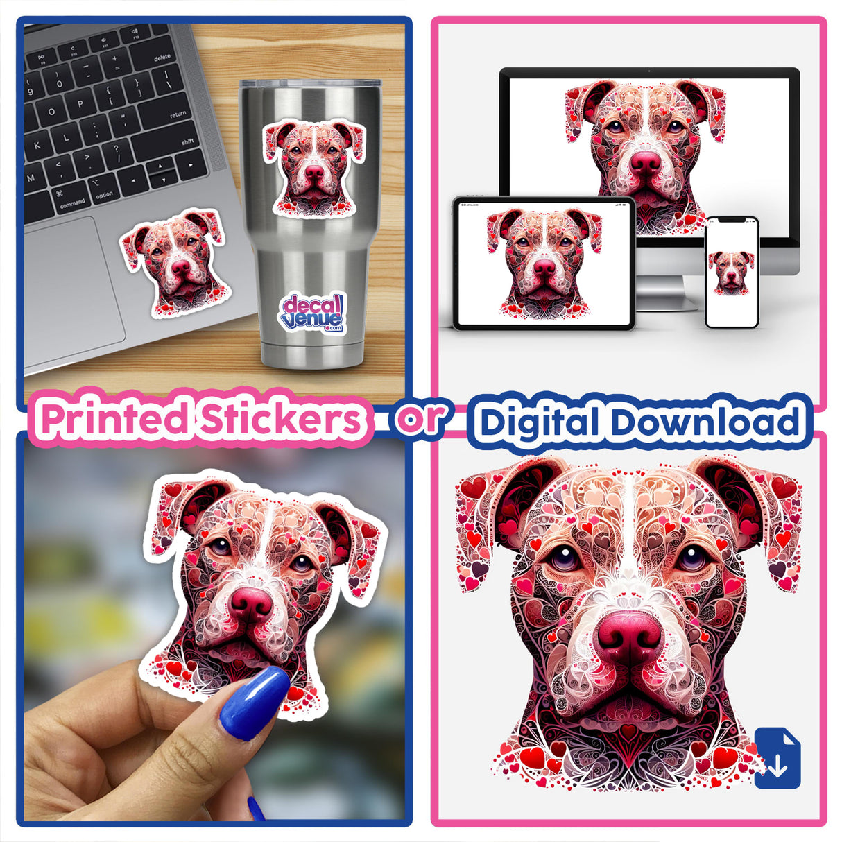 Queen of Hearts Pitbull